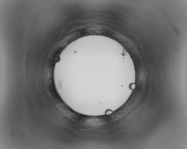 X0000113350759200910131239