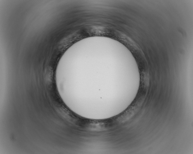 X0000113350760200910131239