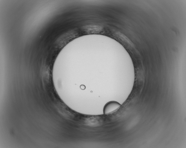 X0000113350761200910131239