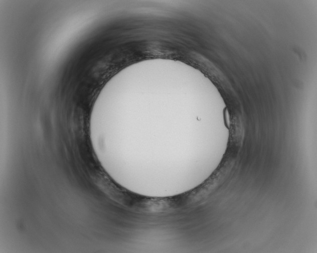 X0000113350762200910131239