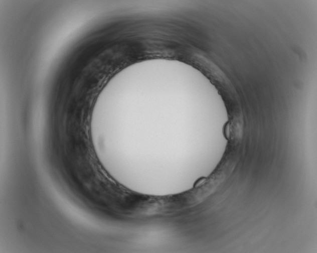 X0000113350764200910131239