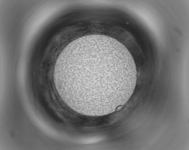 X0000113350765200910131239