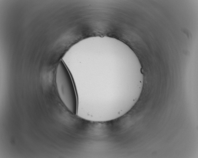 X0000113350768200910131239