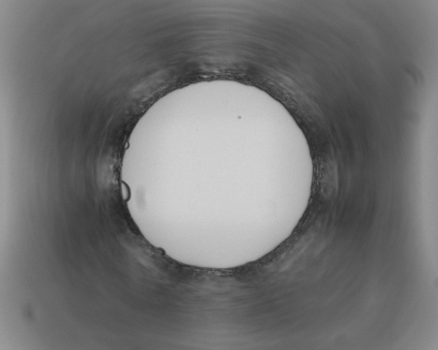 X0000113350770200910131239