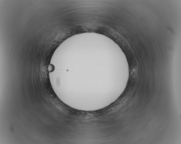 X0000113350772200910131239