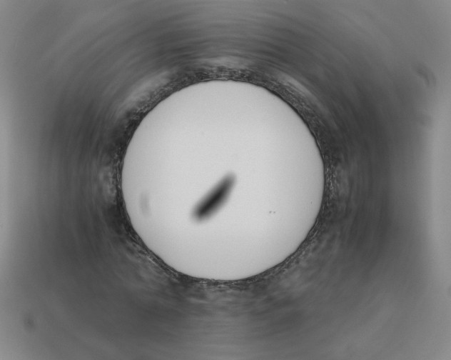 X0000113350774200910131239