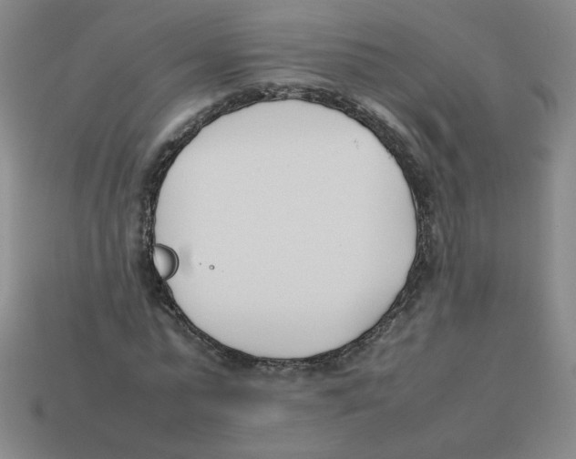 X0000113350775200910131239