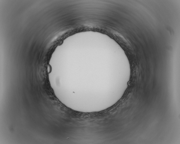 X0000113350776200910131239