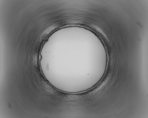 X0000113350777200910131239