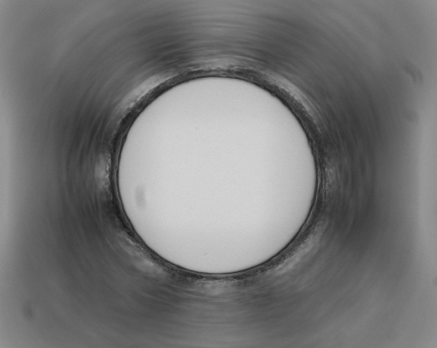 X0000113350778200910131239