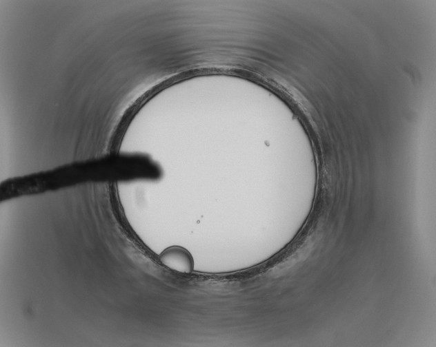 X0000113350779200910131239