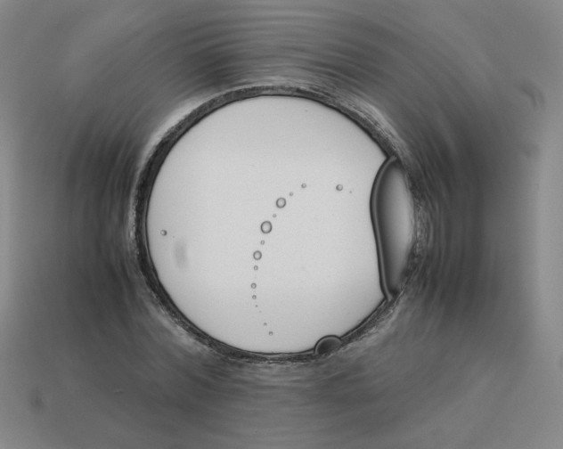 X0000113350780200910131238