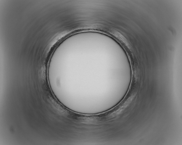 X0000113350781200910131238