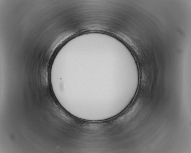 X0000113350782200910131238