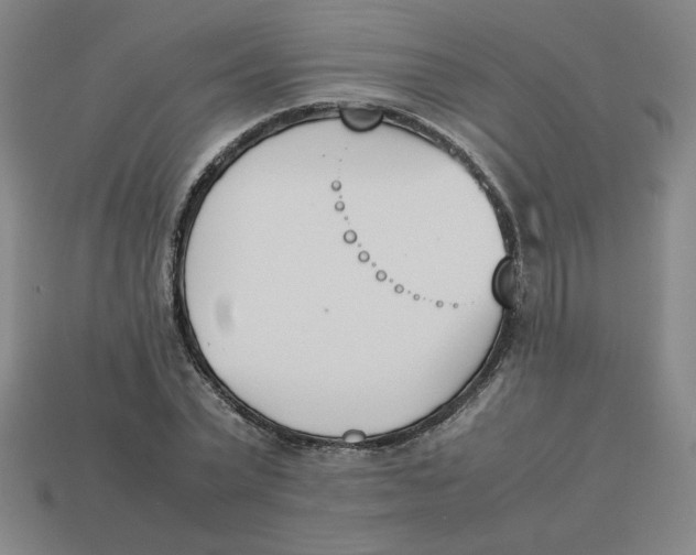 X0000113350783200910131238