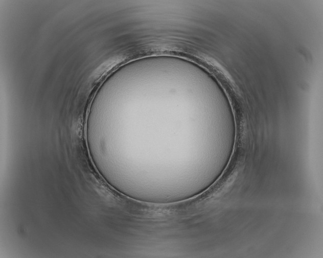 X0000113350785200910131238