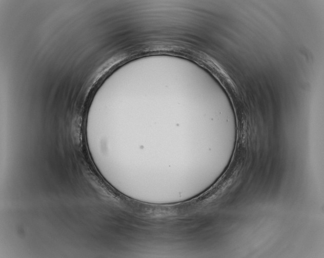 X0000113350786200910131238