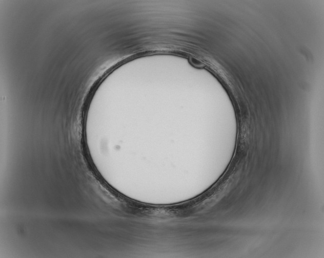 X0000113350787200910131238