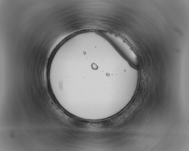 X0000113350788200910131238