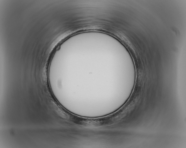 X0000113350789200910131238