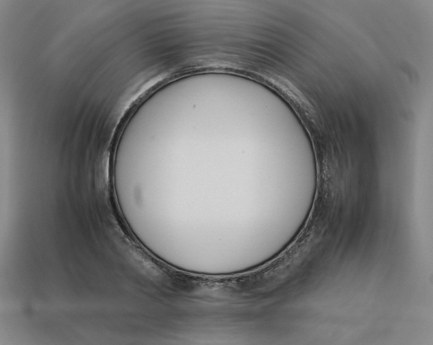 X0000113350790200910131238