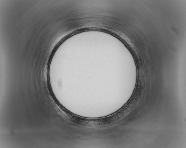 X0000113350791200910131238