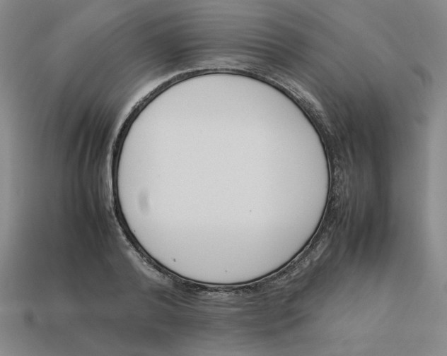 X0000113350792200910131238