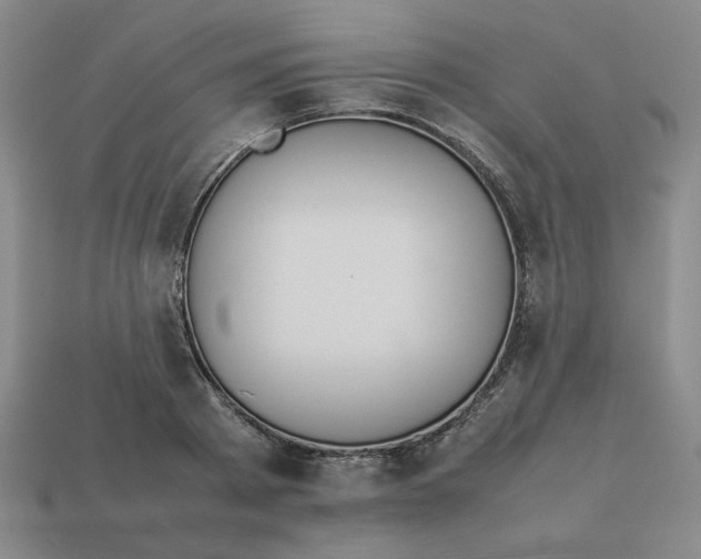 X0000113350793200910131238