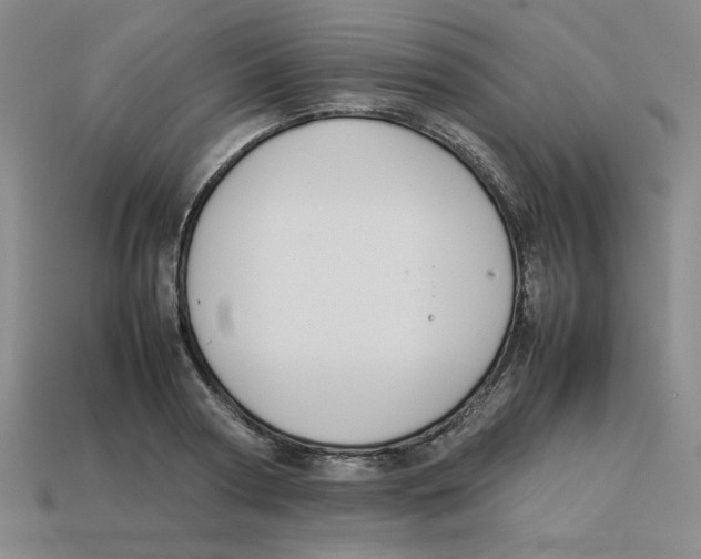 X0000113350794200910131238