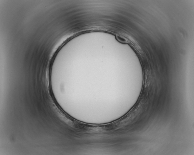 X0000113350796200910131238