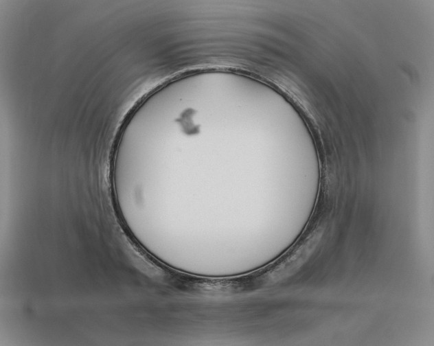 X0000113350797200910131238