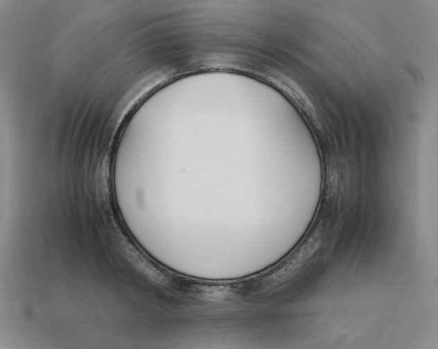 X0000113350798200910131238