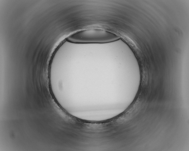 X0000113350800200910131238