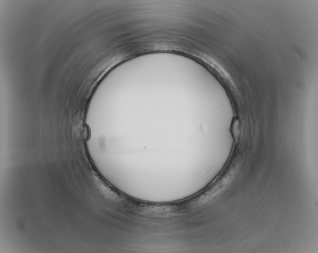 X0000113350801200910131238