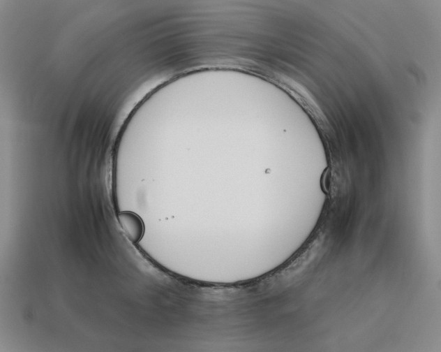 X0000113350804200910131238