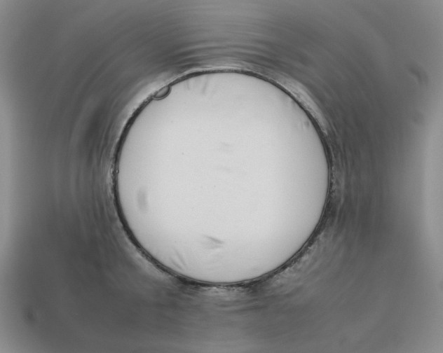 X0000113350805200910131238