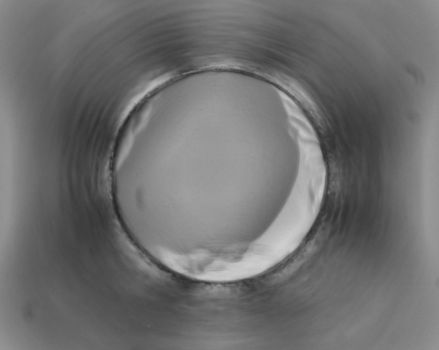 X0000113350806200910131238