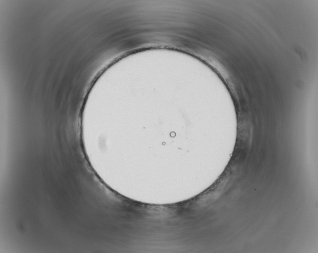 X0000113350807200910131238