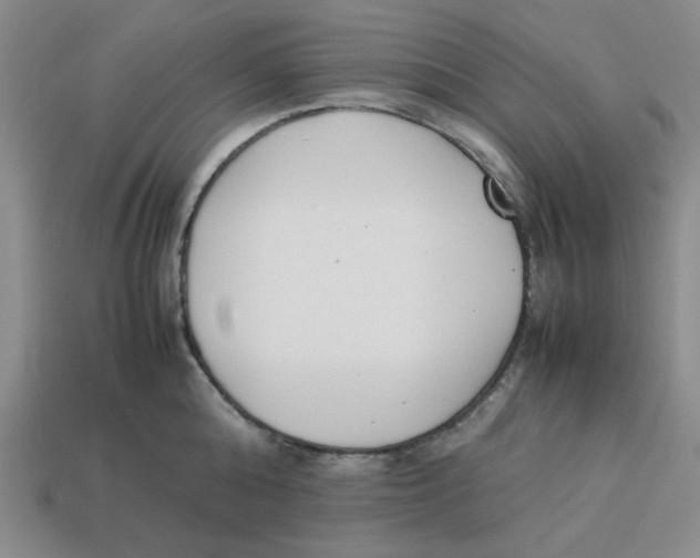 X0000113350808200910131238