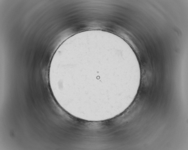 X0000113350810200910131238