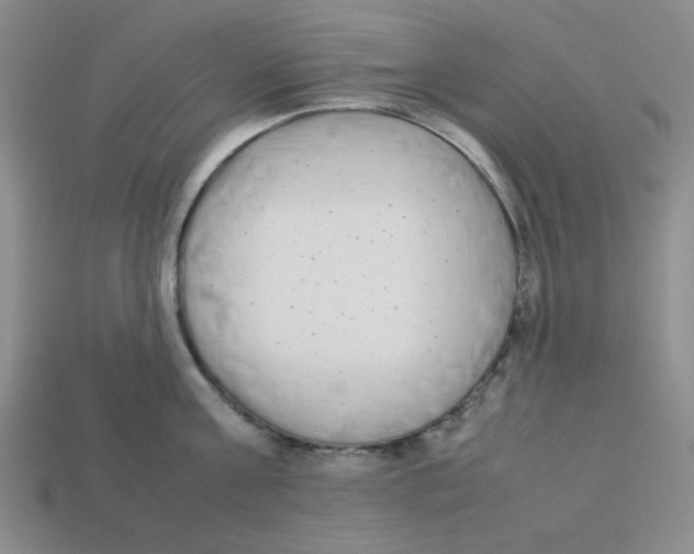 X0000113350811200910131238