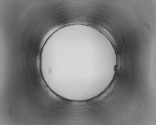 X0000113350812200910131238