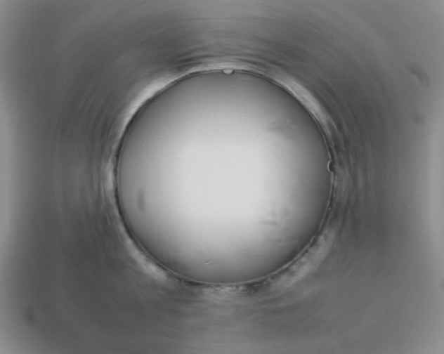 X0000113350813200910131238