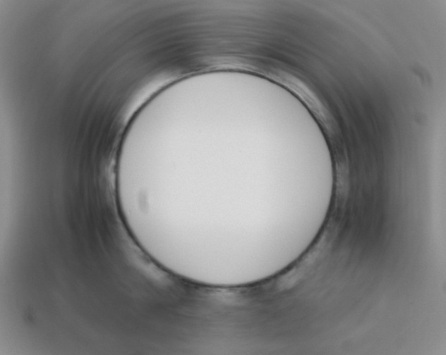 X0000113350814200910131238