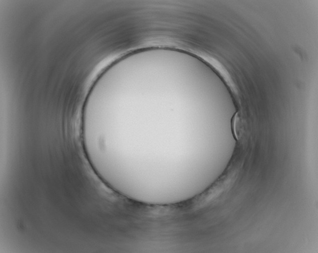 X0000113350815200910131238