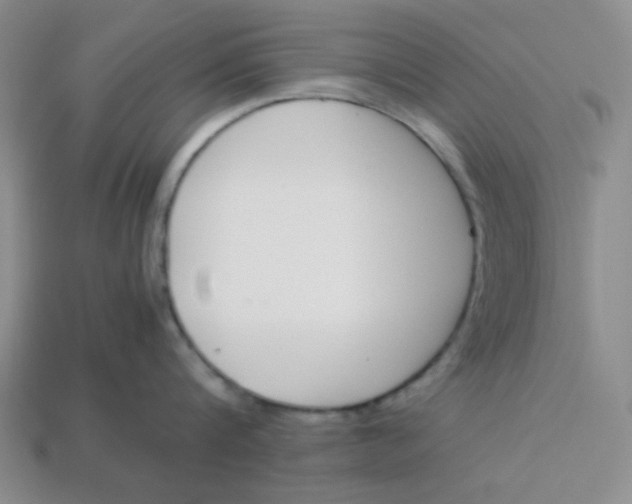 X0000113350816200910131238