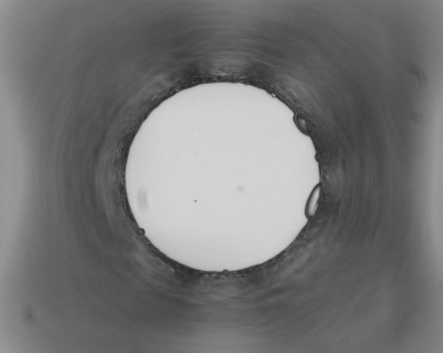 X0000113350817200910131237