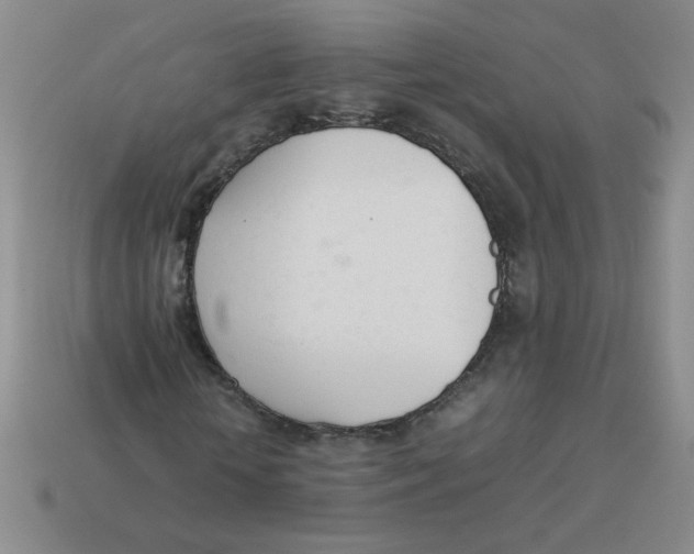 X0000113350818200910131237