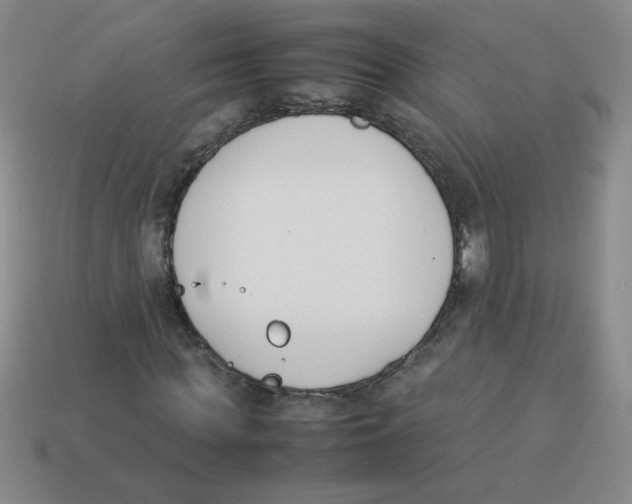 X0000113350819200910131237