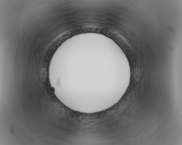 X0000113350821200910131237